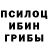 Псилоцибиновые грибы GOLDEN TEACHER Martyna Gabor