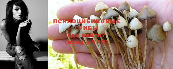 амф Абдулино