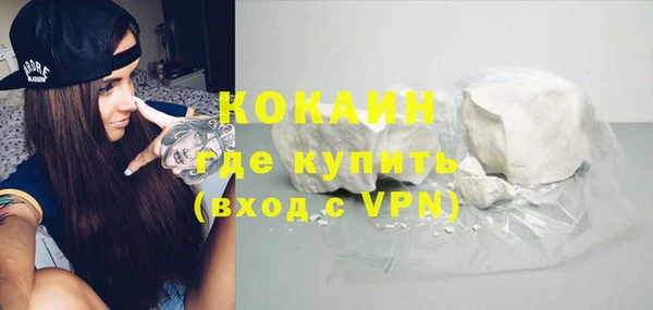 прущие грибы Переславль-Залесский