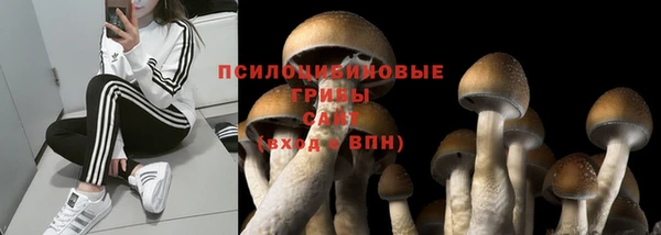 амф Абдулино