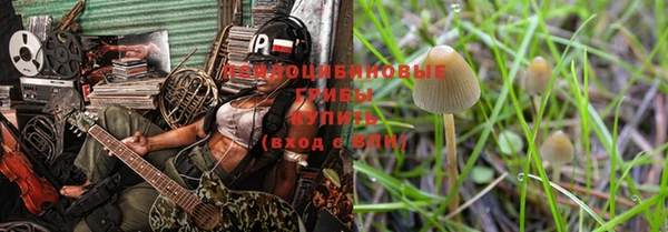 амф Абдулино