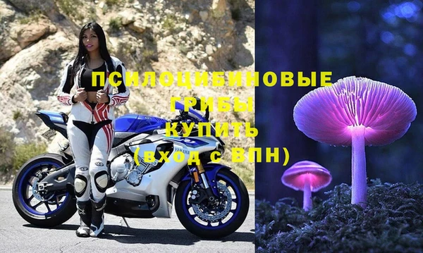 трава Абаза