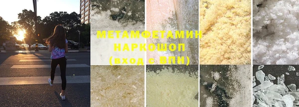 прущие грибы Переславль-Залесский